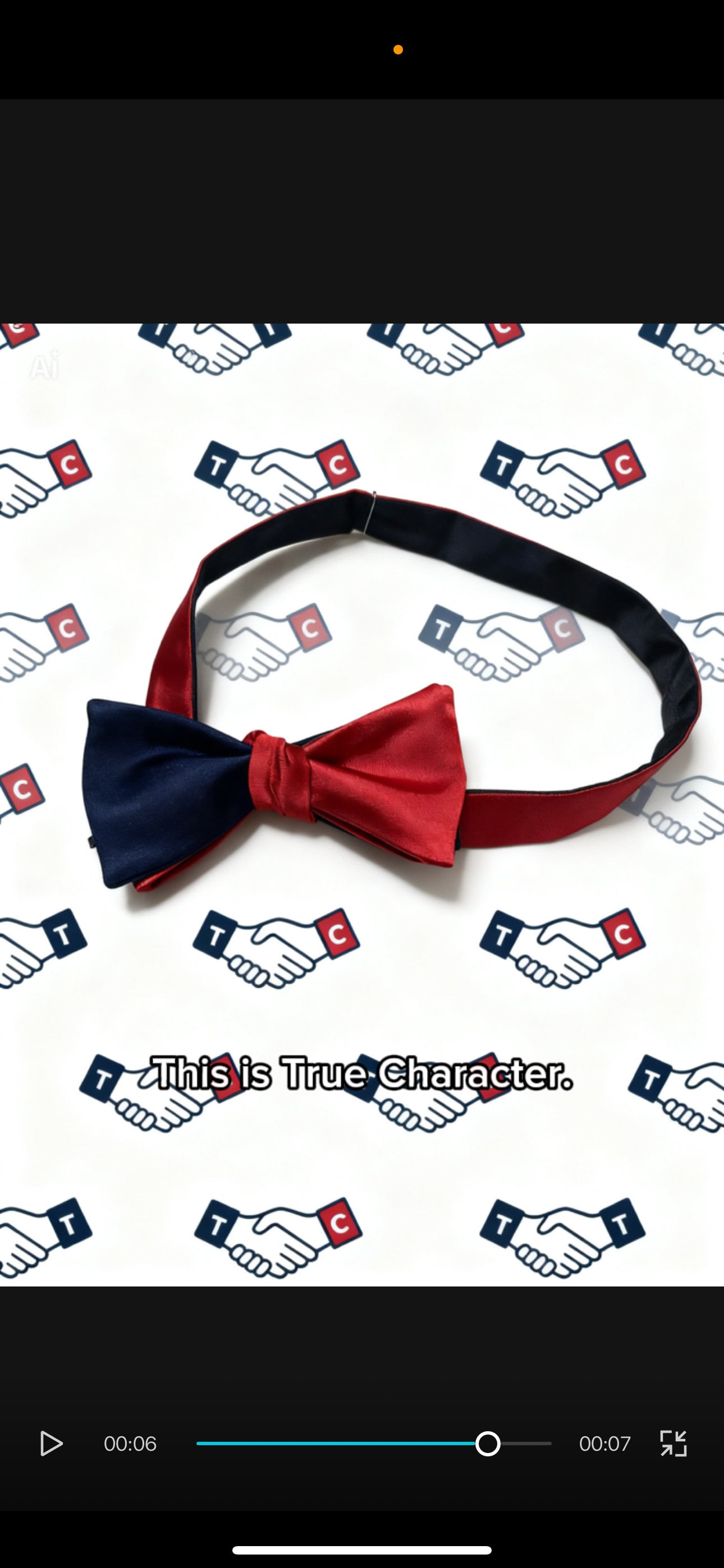 The True Character Signature Two Tone Self Tie Bow Tie